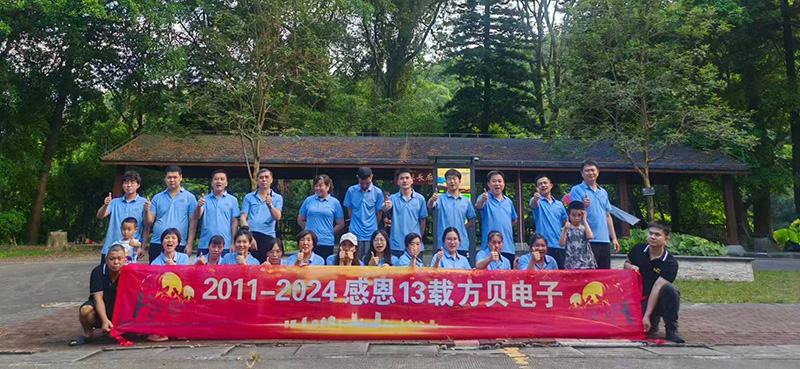 A Memorable Company Outing: Climbing Mountains Together